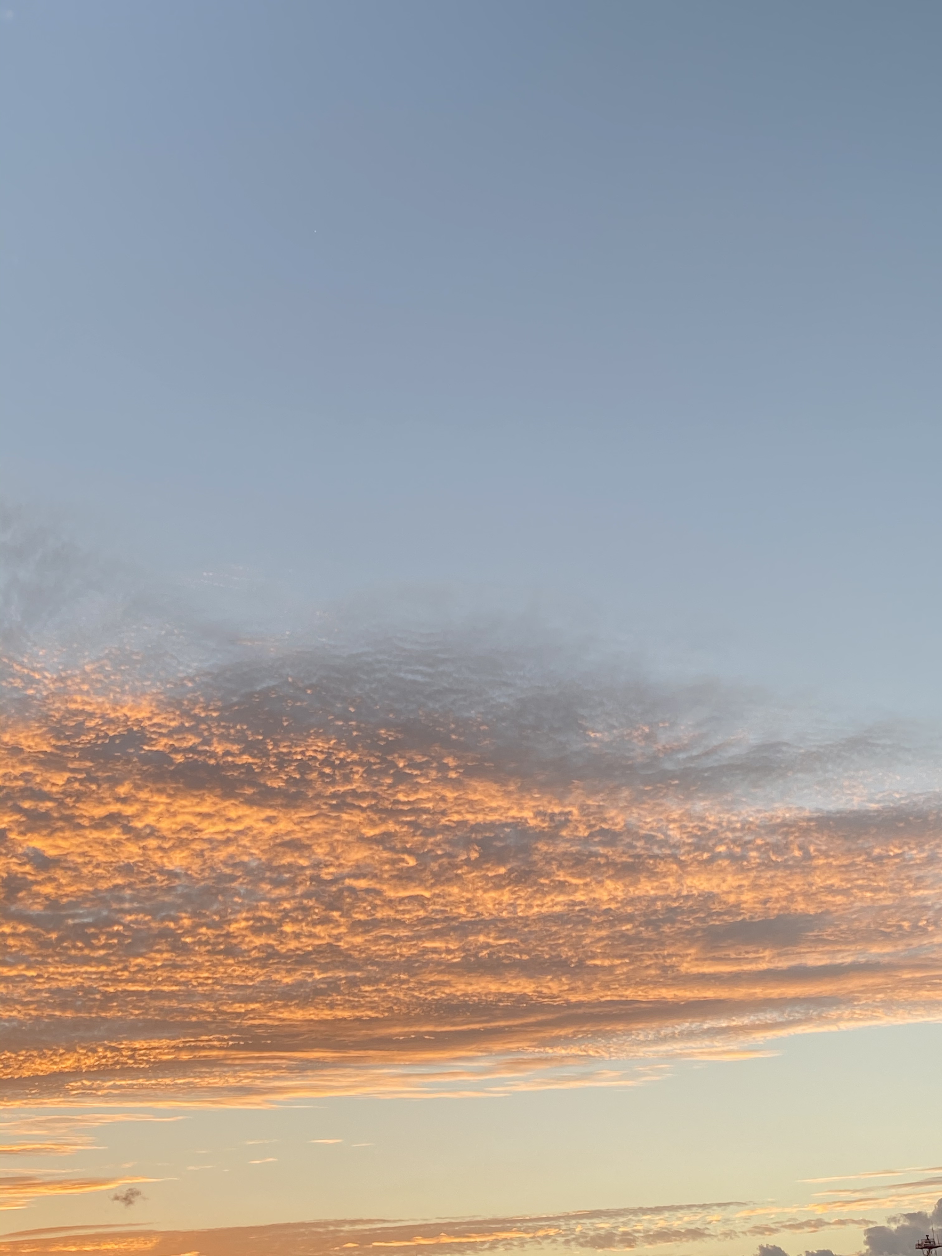 10/18は17時までの営業とさせていただきます。