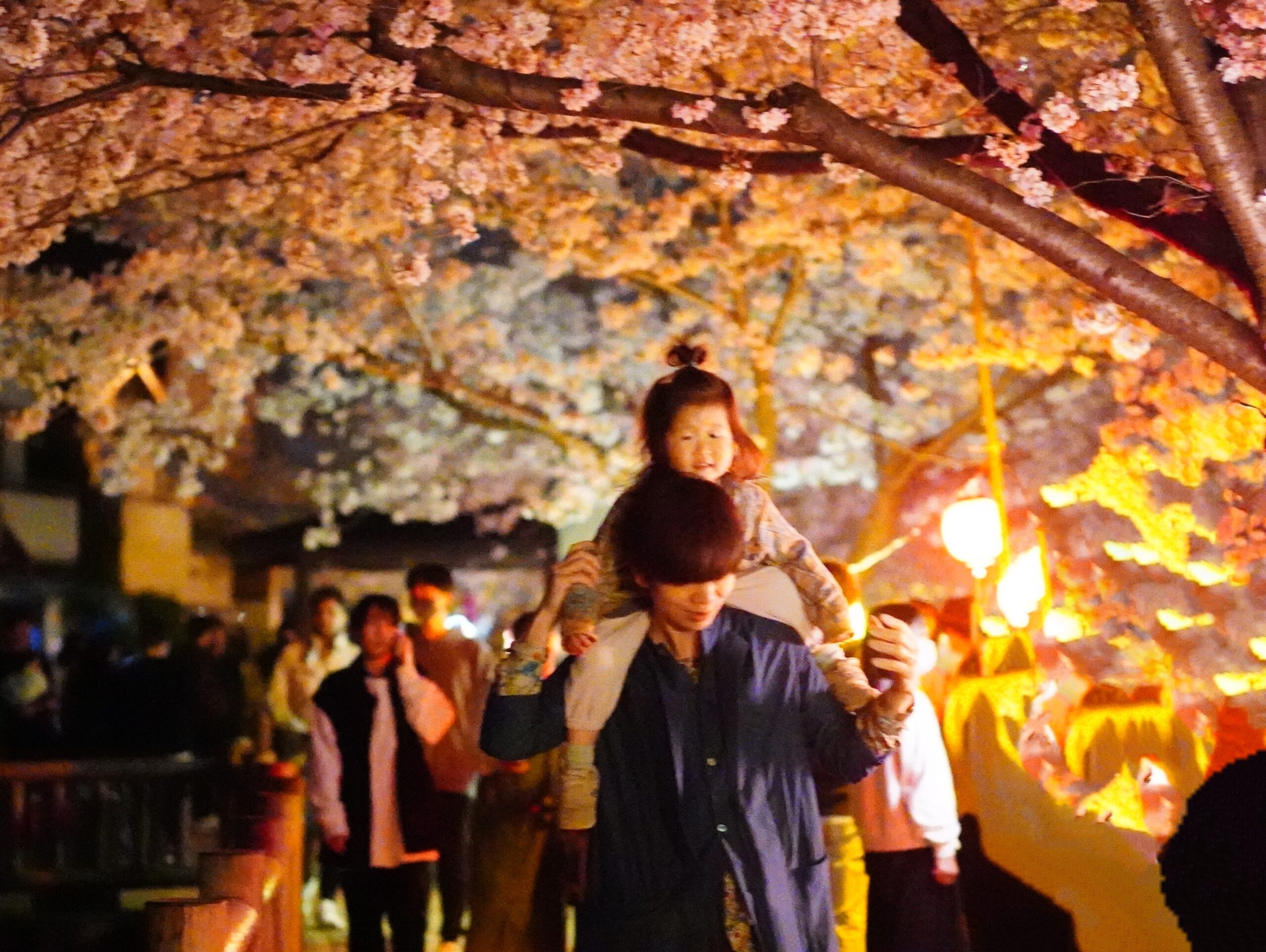 明日は入園式のため１３時からの営業です。