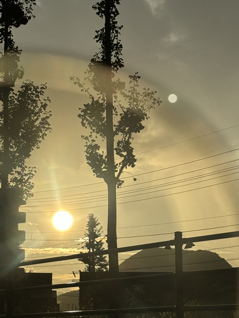 １９年３６４日